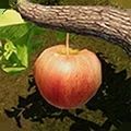 建档立卡app下载极速版 
